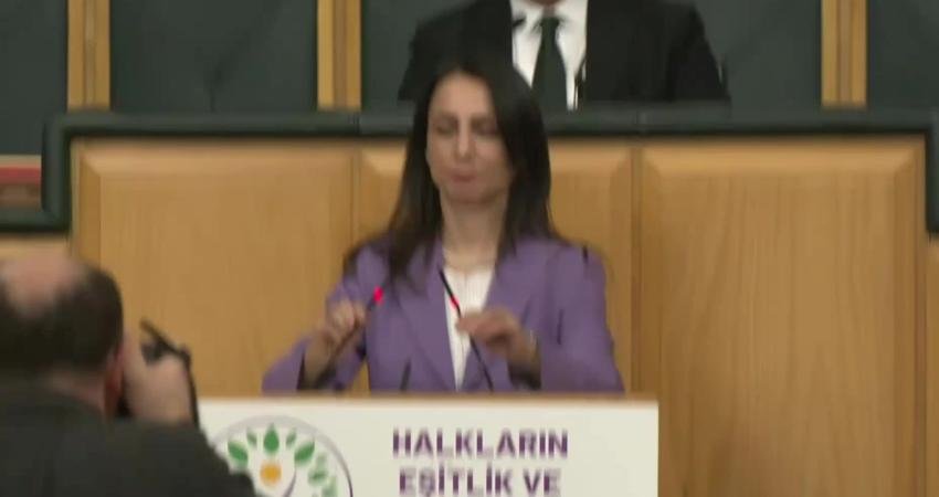 Halkların Eşitlik ve Demokrasi Partisi (DEM Parti) Eş Genel Başkanı