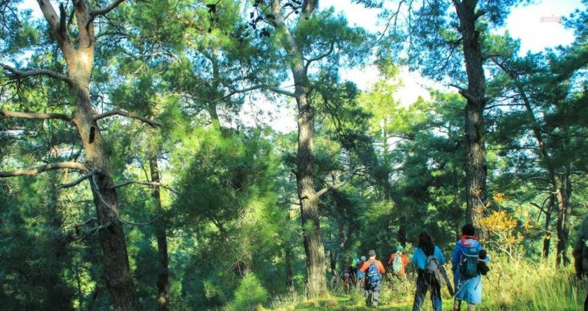 Turgutlu Belediyesi Dağcılık Akademisi (TURBELDAK), Vişneli-Nazarköy parkurunda yürüyüş etkinliğini gerçekleştirdi.