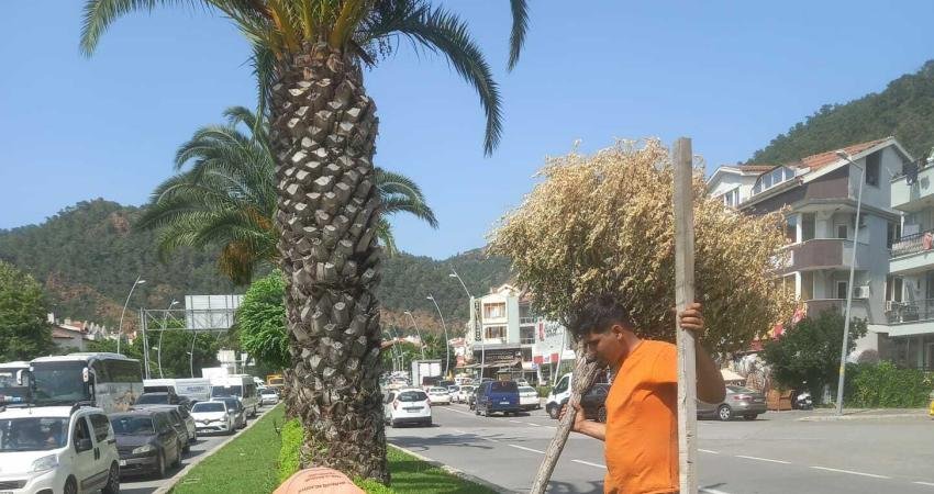 Marmaris Belediyesi Park ve Bahçeler Müdürlüğü ekipleri 5 yıllık süreçte