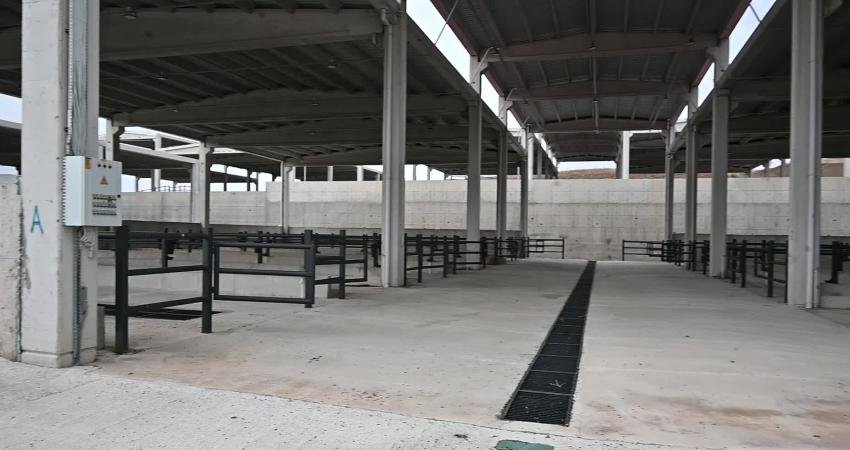 Yozgat’ın Çalatlı köyü yakınlarında toplam 95 bin metrekare alana 2019