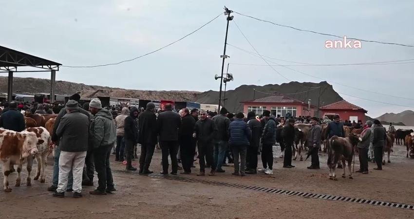 Büyükbaş hayvanlarda görülen şap hastalığı nedeniyle Kayseri, Sivas, Tokat, Kırşehir