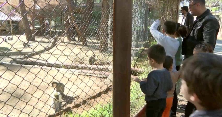 127 türde bin 400 hayvana ev sahipliği yapan Antalya Büyükşehir