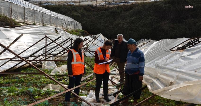 Antalya Büyükşehir Belediyesi, selden etkilenen ilçelerde büyükbaş hayvanlara veterinerlik hizmeti