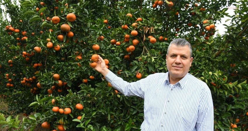 CHP Adana Milletvekili Ayhan Barut, iktidarın destek vermediği narenciye üreticilerinin