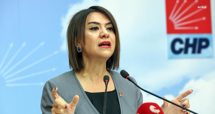 CHP Genel Başkan Yardımcısı Gamze Taşcıer, beşeri tıbbi &uuml;r&uuml;nlerin fiyatlandırılmasında