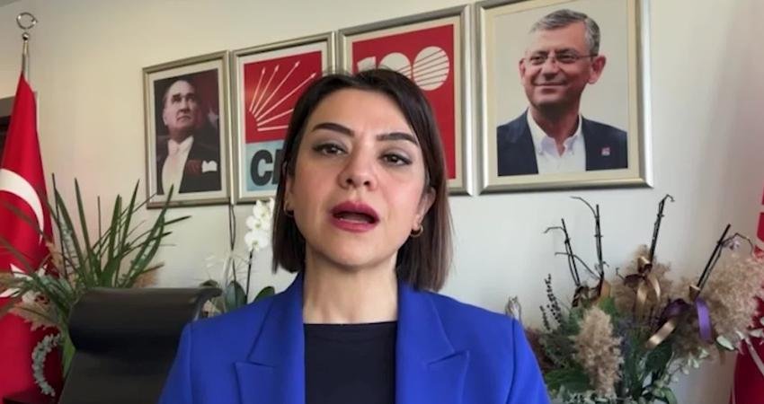 CHP Genel Başkan Yardımcısı Gamze Taşçıer, Cumhurbaşkanı ve AKP Genel