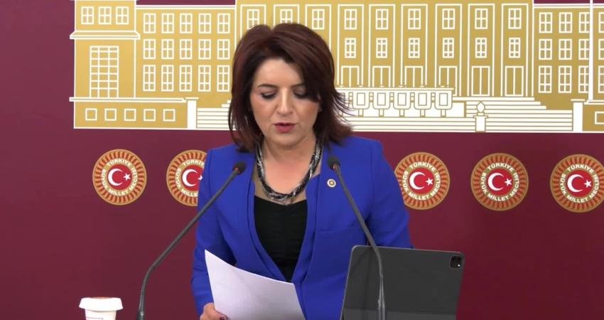CHP Mersin Milletvekili G&uuml;lcan Kış, Ulaştırma ve Altyapı Bakanı Abd&uuml;lkadir