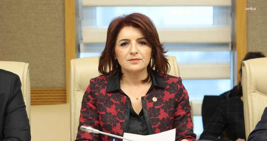 CHP Mersin Milletvekili Gülcan Kış, AKP’nin TBMM gündemine getirdiği yasa