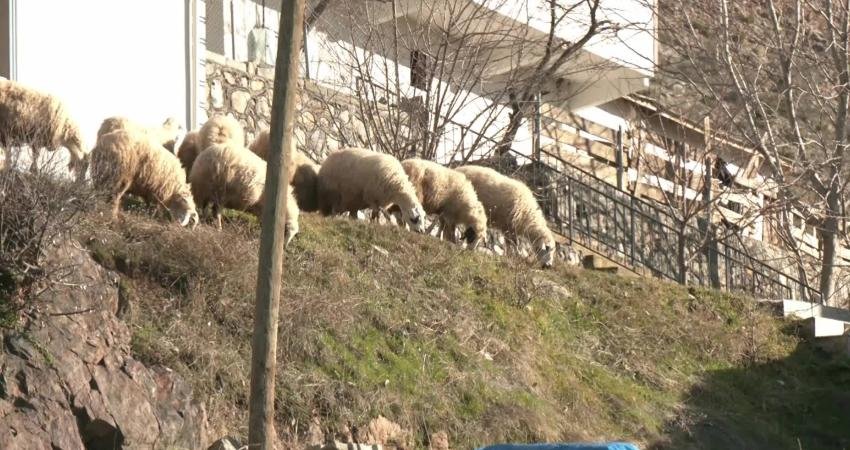 Haber: DİLAN KUTLU/ Kamera: UĞUR DEMİRCİ Madan faciasında 9 iş&ccedil;inin