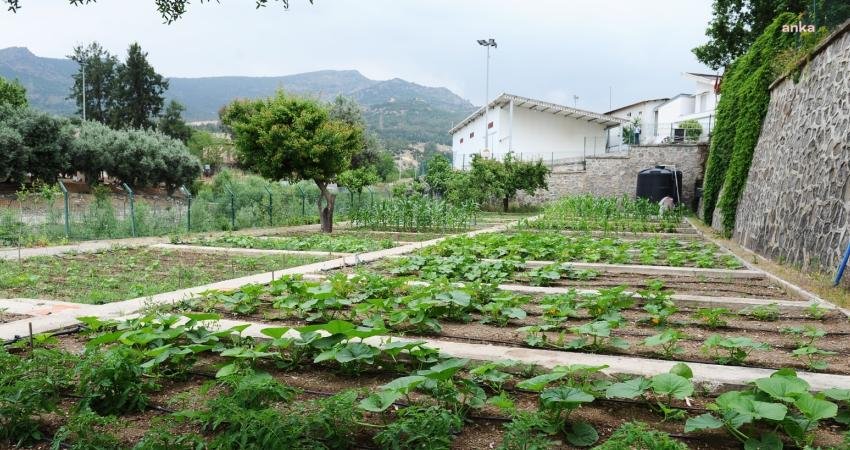 İklim krizi ve olası etkilerinden gıda krizine karşı kenti g&uuml;&ccedil;lendirmeyi