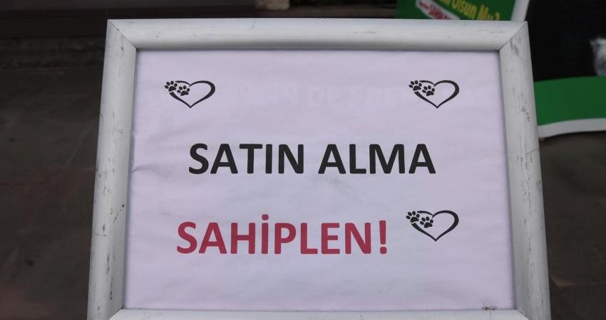 Marmaris Belediyesi Geçici Hayvan Bakımevi, 19 Mayıs Gençlik Meydanı’nda ‘satın