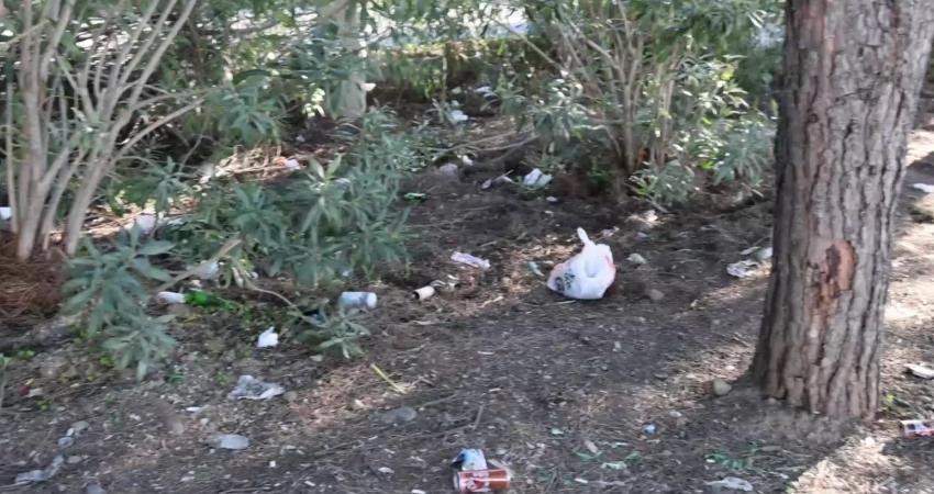 Marmaris Belediyesi'nin desteğiyle Marmaris Doğa Gönüllüleri, Yalancıboğaz-Aktaş bölgesinde çevre temizliği
