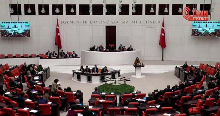 CHP Ankara Milletvekili Semra Dinçer, TBMM Genel Kurulu'nda görüşülen Sağlık
