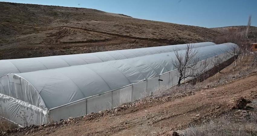 SEYFİ &Ccedil;ELİKKAYA Yozgatlı &ccedil;ift&ccedil;i &Ouml;mer Durak, Ziraat Fak&uuml;ltesinde eğitim g&ouml;ren