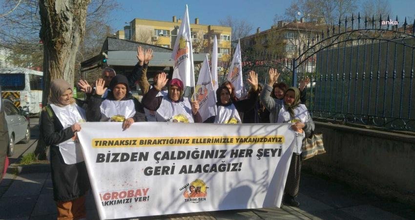 İzmir’in Bergama ilçesinde Agrobay Seracılık’ta çalışırken Tarım İşçileri Sendikası’na (Tarım-Sen)