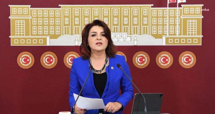 CHP Mersin Milletvekili G&uuml;lcan Kış, se&ccedil;im sonrasında ekonomide yaşanacak gelişmelere