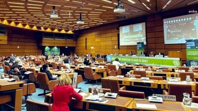 D&uuml;nya Doktorları, Birleşmiş Milletler Uyuşturucu ve Su&ccedil; Ofisi (UNODC) tarafından