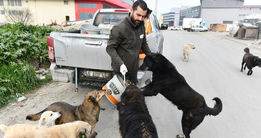 Esenyurt Belediyesi, sokak hayvanları i&ccedil;in mama ve su desteğini t&uuml;m
