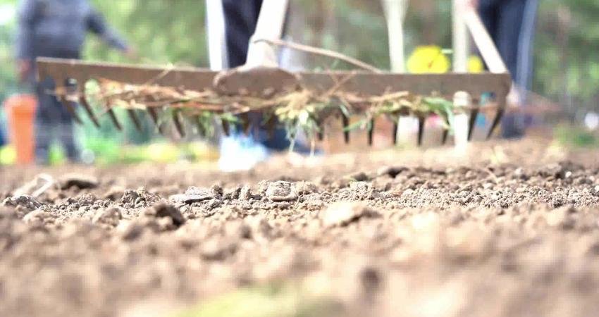 Konyaaltı il&ccedil;esinde bulunan okullarda eğitim g&ouml;ren &ouml;ğrenciler, sosyal sorumluluk projesi