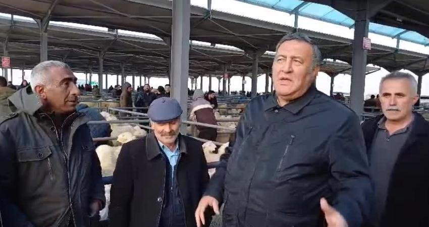 CHP Niğde Milletvekili &Ouml;mer Fethi G&uuml;rer, se&ccedil;im b&ouml;lgesinde bir hayvan