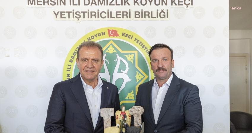 Mersin B&uuml;y&uuml;kşehir Belediye Başkanı Vahap Se&ccedil;er, Mersin İli Damızlık Koyun
