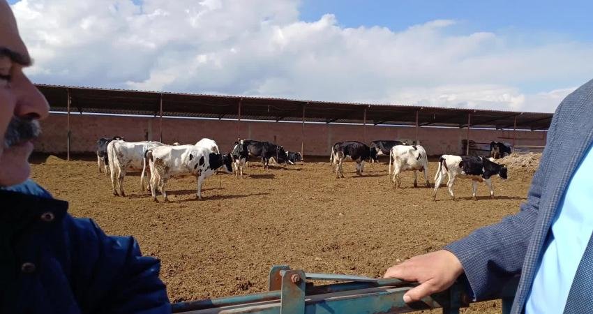 CHP Niğde Milletvekili &Ouml;mer Fethi G&uuml;rer, Niğde&rsquo;nin Bor il&ccedil;esine bağlı
