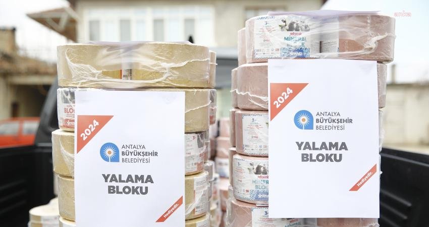 (ANTALYA) Antalya B&uuml;y&uuml;kşehir Belediyesi, yayla ve kırsal hayvancılığı s&uuml;rd&uuml;rmek, geliştirmek
