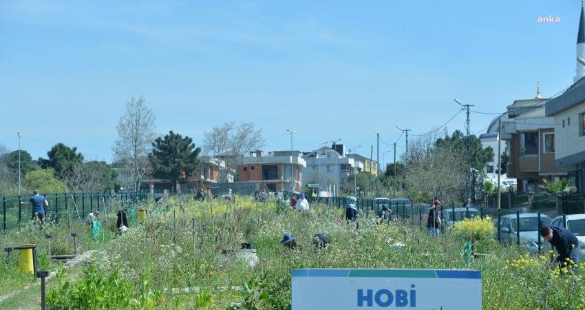 Beylikdüzü Belediyesi’nin Umut Meyve Ormanı içinde oluşturduğu Hobi Bahçeleri’nin 5.