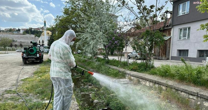Bozüyük Belediyesi İlaçlama Ekipleri tarafından özellikle yaz aylarında sayıları artan