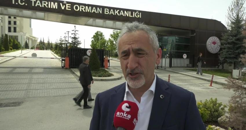 CHP Ordu Milletvekili Mustafa Adıgüzel, Karadeniz’de fındık ağaçlarını istila eden