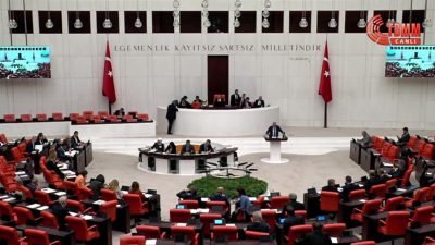 CHP Ordu Milletvekili Mustafa Adıgüzel, TBMM Genel Kurulu’nda şehir hastanelerini