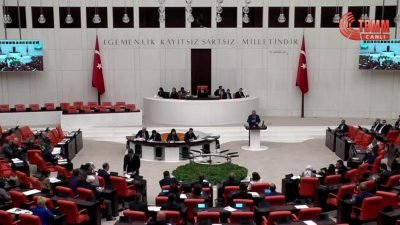 CHP Grubunun, 15 Temmuz sonrasında dağıtılan silahlar ile bu süreçten