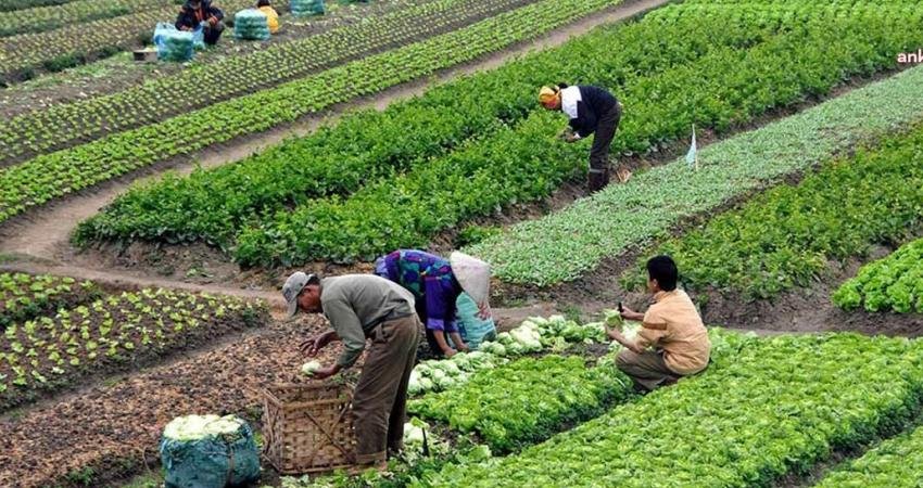 Cumhurbaşkanlığınca, mevsimlik  tarım işçisi olarak çalışmak amacıyla başka illere
