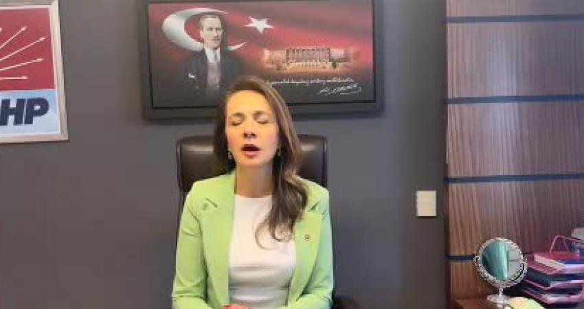 CHP İstanbul Milletvekili Gamze Akkuş İlgezdi, Emniyet Genel Müdürlüğü ve