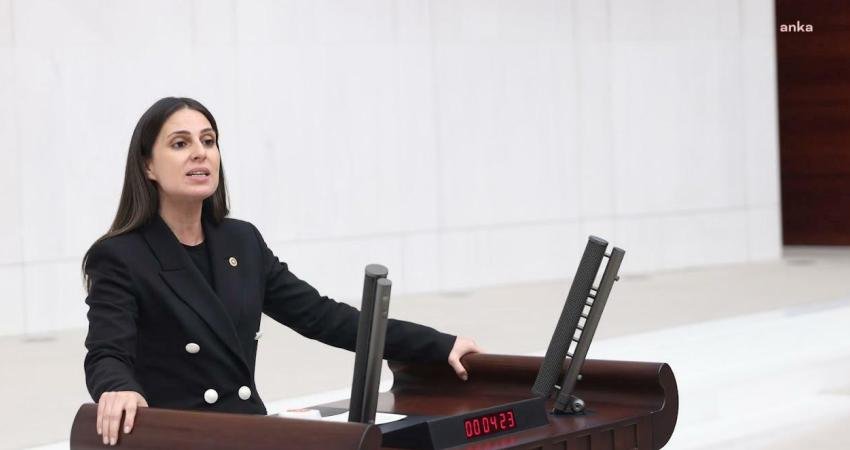 CHP Muğla Milletvekili Gizem Özcan, TBMM’de kabul edilen Turist Rehberliği