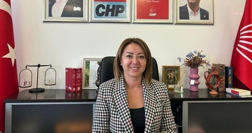 CHP Genel Başkan Yardımcısı G&uuml;l &Ccedil;iftci Binici, 5 Nisan Avukatlar