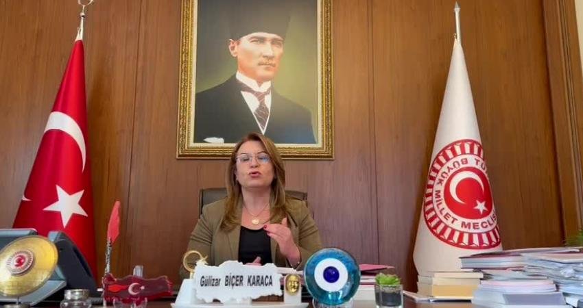 TBMM Başkanvekili G&uuml;lizar Bi&ccedil;er Karaca, yargının kurucu unsurlarından avukatlık mesleğinin