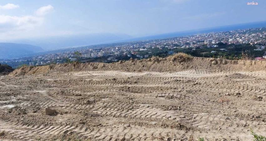 Hatay’da Mezarlık İçin Zeytin Ağaçlarını Kimin Söktüğü Faili Meçhul Kaldı 6 Şubat depremlerinde büyük yıkıma uğrayan Hatay’da, yeni mezar yerlerine