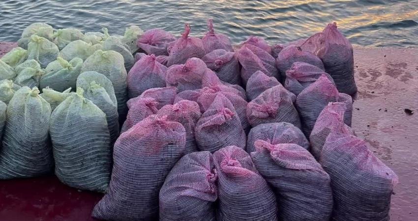 İstanbul’da kaçak yollarla midye avlayan 2 kişi gözaltına alındı. Söz