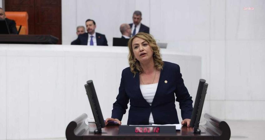 CHP Hatay Milletvekili Nermin Yıldırım Kara, mali müşavirler ve muhasebecilerin
