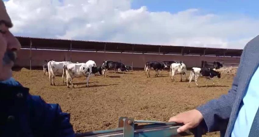CHP Niğde Milletvekili Ömer Fethi Gürer’in Niğde’nin Kızılca köyünde konuştuğu