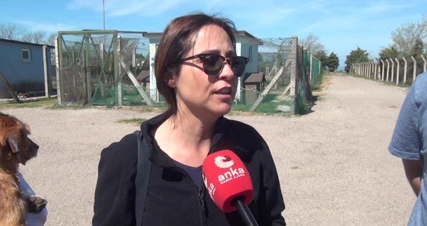 Sinop Sahipsiz Hayvanları Koruma ve Yaşatma Derneği Başkan Yardımcısı İrem