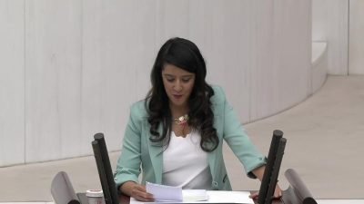 Emek Partisi Gaziantep Milletvekili Sevda Karaca Demir, TBMM Genel Kurulu