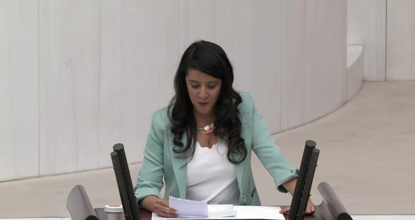 Emek Partisi Gaziantep Milletvekili Sevda Karaca Demir, TBMM Genel Kurulu