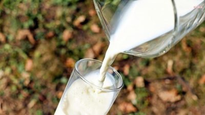T&uuml;rkiye İstatistik Kurumu (T&Uuml;İK) verilerine g&ouml;re, şubat ayında toplanan inek