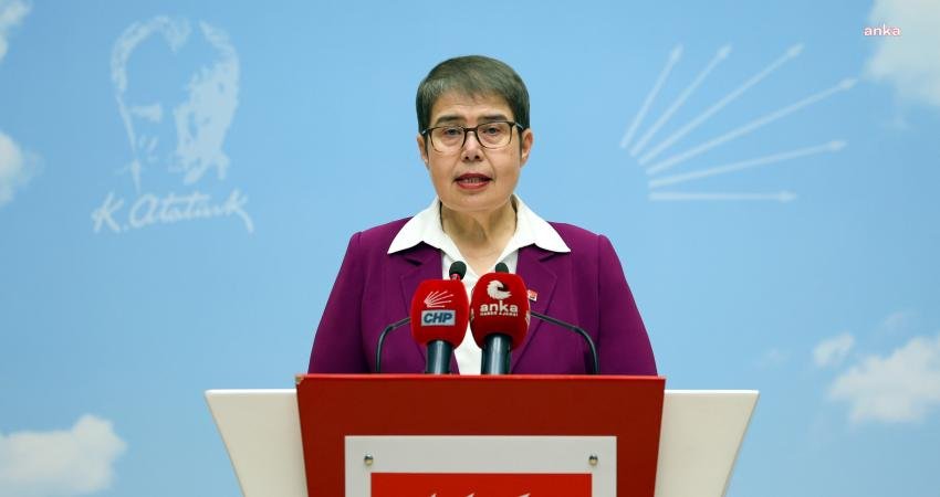 CHP Genel Başkan Yardımcısı Zeliha Aksaz Şahbaz, 17 Nisan Sağlıkta