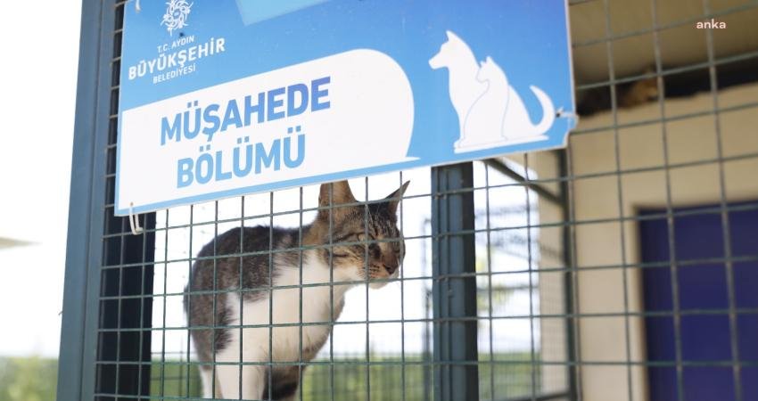 Aydın Büyükşehir Belediyesi tarafından kısa süre önce kente kazandırılan modern