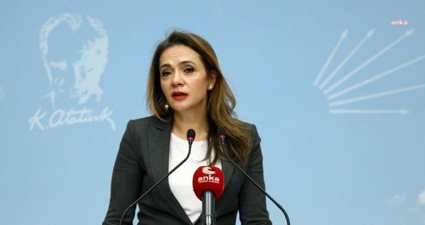 CHP İstanbul Milletvekili Gamze Akkuş İlgezdi, Cumhurbaşkanı Recep Tayyip Erdoğan’ın