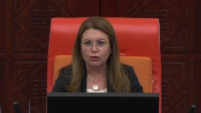 CHP Kars Milletvekili İnan Akgün Alp, TBMM Genel Kurulu’nda; Avrupa