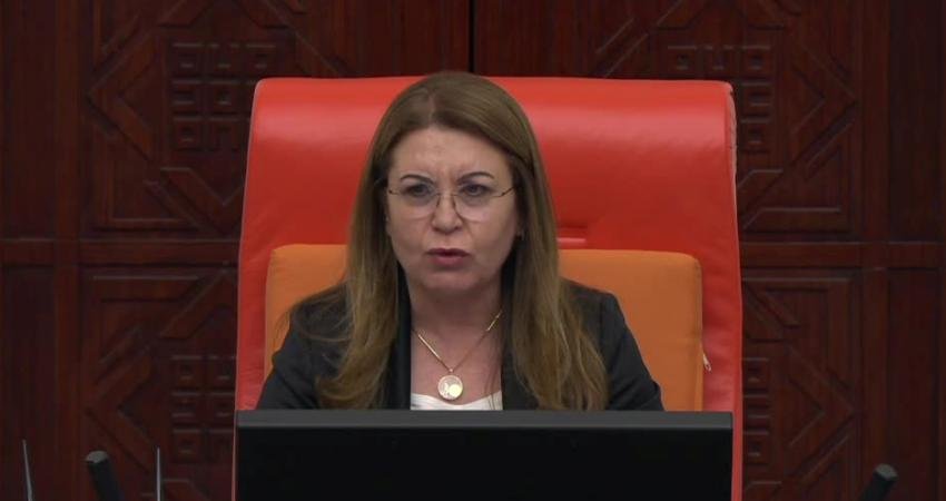 CHP Kars Milletvekili İnan Akgün Alp, TBMM Genel Kurulu’nda; Avrupa